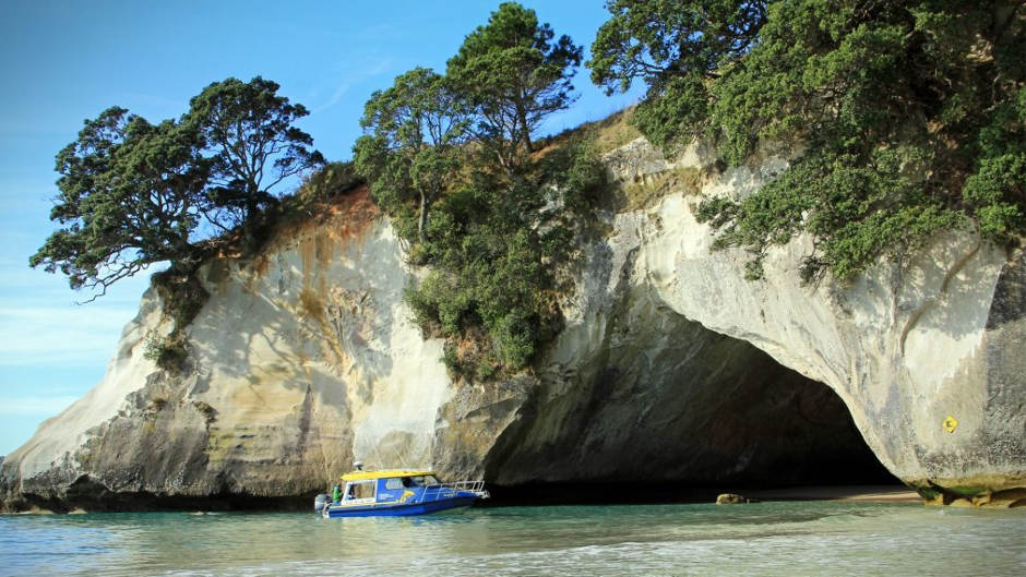 Visit the stunning Coromandel Peninsula on this fun and scenic day trip from Auckland.